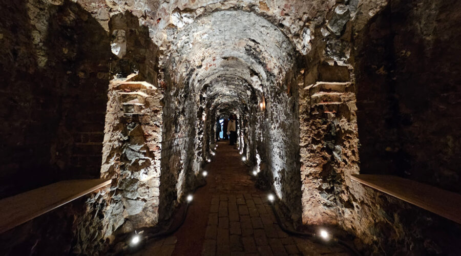 Tickets Alert: Open days to visit Pope’s Grotto