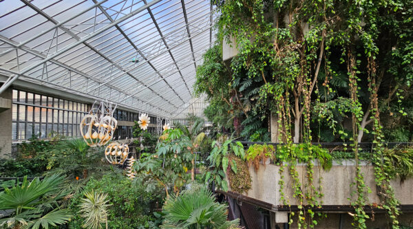 Tickets Alert: Late openings at the Barbican’s heated conservatory