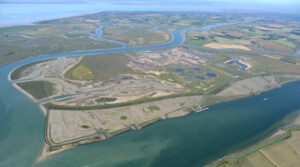 How London’s excavated soil helped create a thriving wildlife haven in Essex